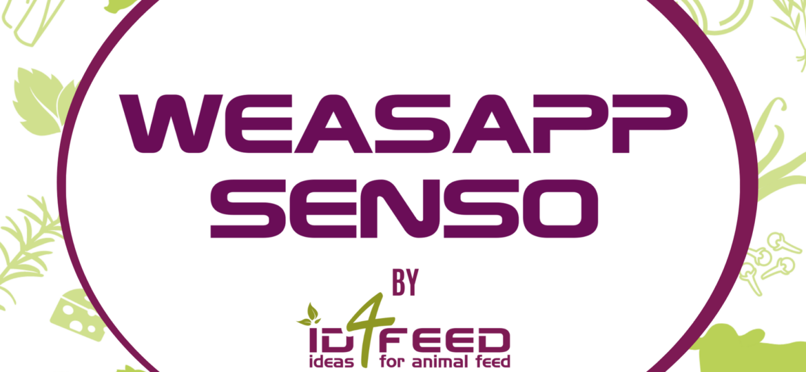 Design malette Weasapp Senso V1