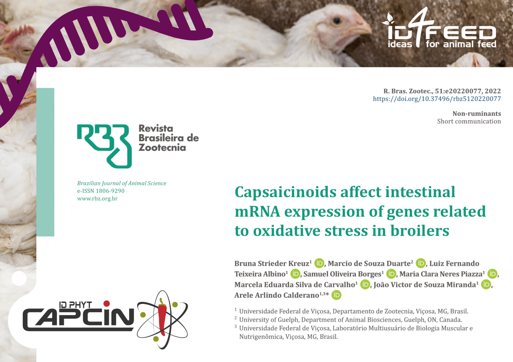 Design Capcin ID PHYT CAPCIN and expression of genes - ID4FEED